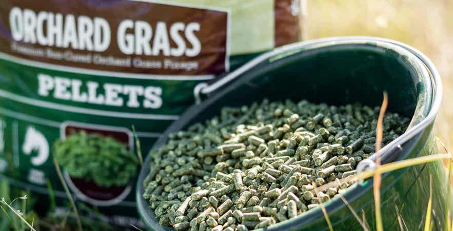 Close-up image of forage pellets in a bucket.