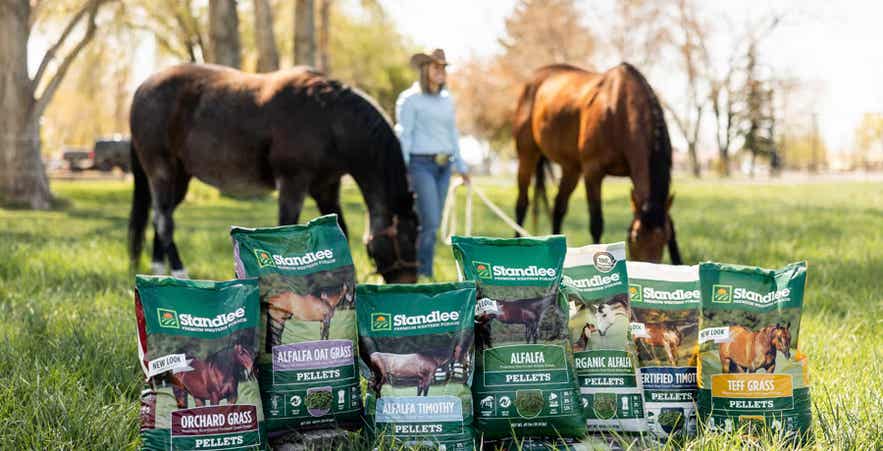 Standlee forage products displayed in a pasture with grazing horses, supporting supplementing forage and balanced forage nutrition.