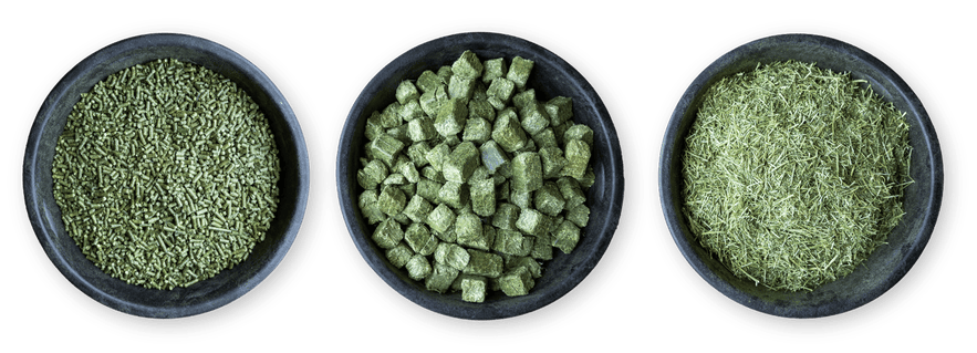 Forage cubes, chopped forage, and pellets comparison in feed pans.