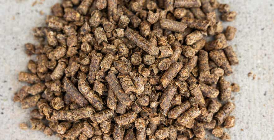 Close up of Standlee Smart Beet Pellets in a pile.