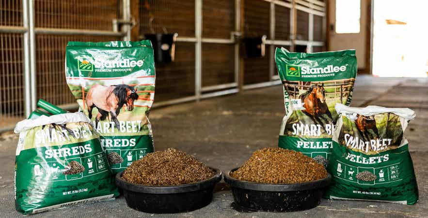 Standlee Smart Beet Shreds and Smart Beet Pellets soaking in feed pans with the bags on both sides.