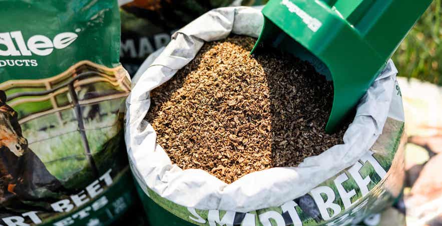 Close-up of Standlee Smart Beet Shreds in the bag with a Standlee scoop.
