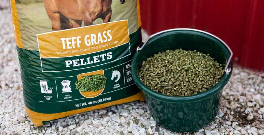 Bag of Standlee Teff Pellets.