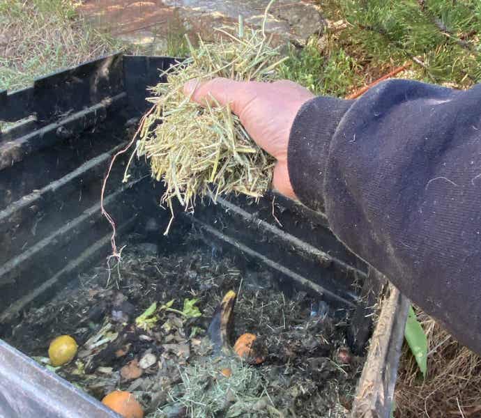 Putting straw in a compost bin