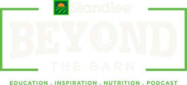 Beyond the Barn logo