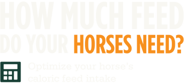 How Much Feed Do Your horses Need? Optimize your horse's caloric feed intake