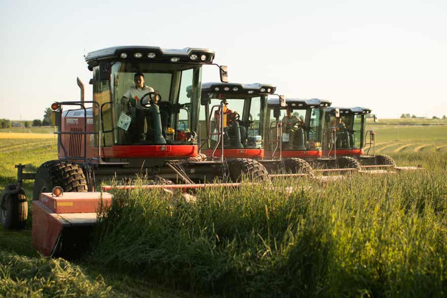 Standlee tractor harvesting hay.