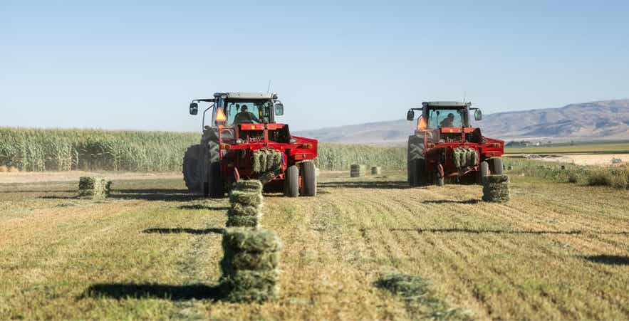 Forage harvest equipment baling hay in a field, demonstrating how harvest timing can impact ADF and NDF fiber levels in forage.