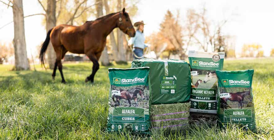 Standlee Alfalfa products displayed in grass with a cowgirl walking her horse in the background.
