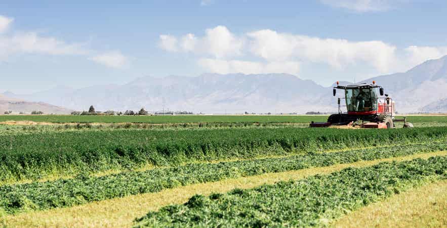 Tractor in field.