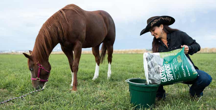 Woman feeding horse forage pellets in pasture.