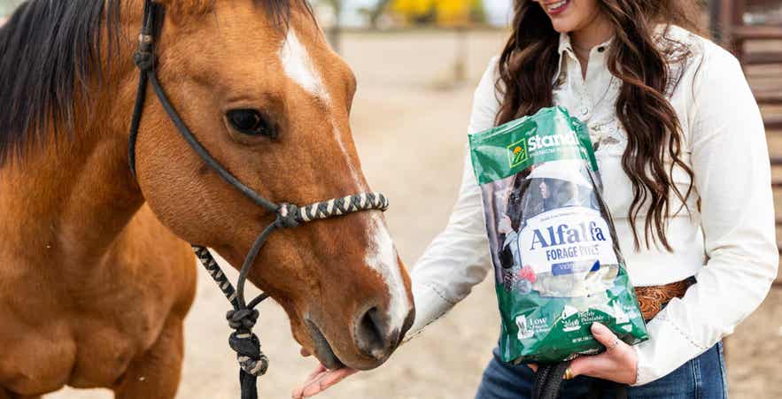 Woman Feeding Standlee Treats