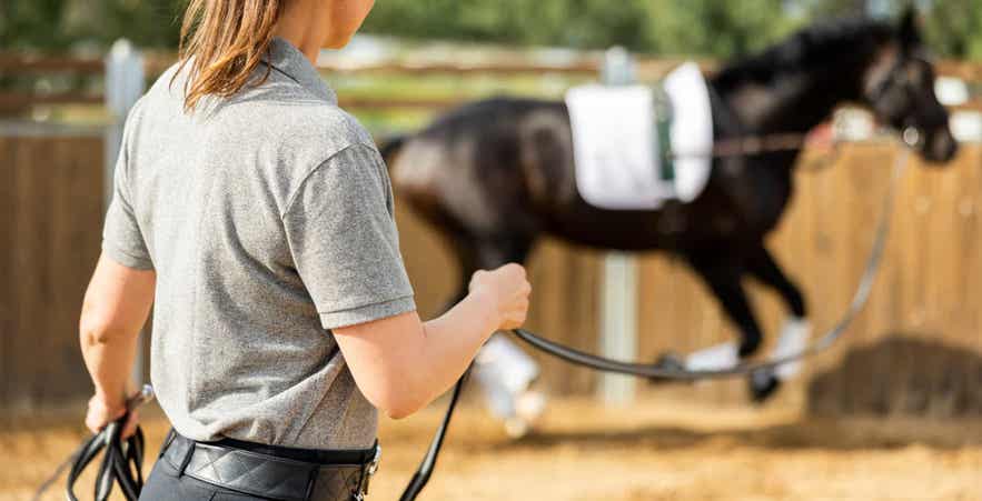 Woman Training Horse