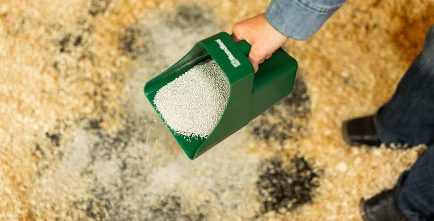 Applying Sweet PDZ&reg; Coop Refresher to chicken coop bedding for ammonia control.