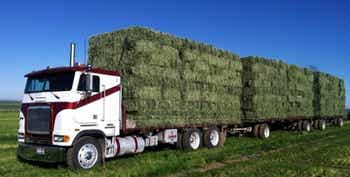 Truck hauling bales of forage