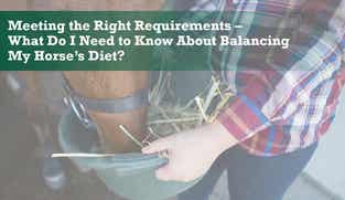 Preview of What Do I Need to Know About Balancing My Horse’s Diet? nutritional webinar