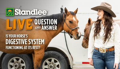 Standlee Live Question and Answer: Is Your horse's Digestive System Functioning at it's Best