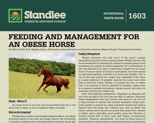 Preview of Feeding And Management For An Obese Horse nutritional paper