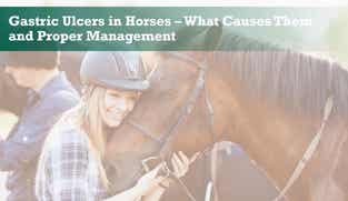 Preview of Gastric Ulcers in Horses – What Causes Them and Proper Management nutritional webinar