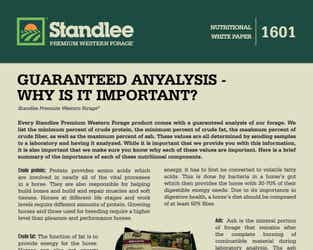 Preview of Guaranteed Analysis nutritional paper