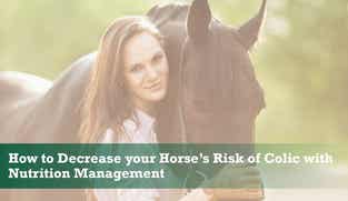 Preview of How to Decrease Your Horse's Risk of Colic with Nutrition Management nutritional webinar