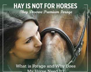 Hay Is Not For Horses Infographic Preview