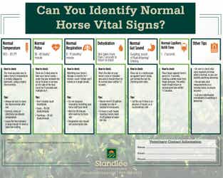 Can You Identify Normal Horse Vital Signs? Infographic Preview
