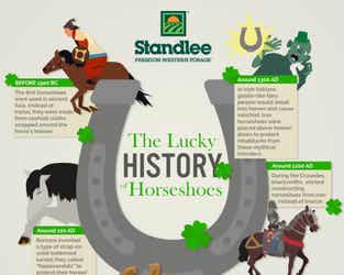 Lucky History of Horseshoes Infographic Preview