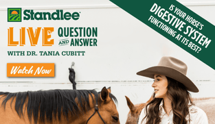 Preview of Introduction to Horse Digestion nutritional webinar