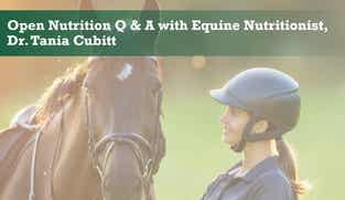 Preview of Open Nutrition Q & A with Equine Nutritionist, Dr Tania Cubitt nutritional webinar