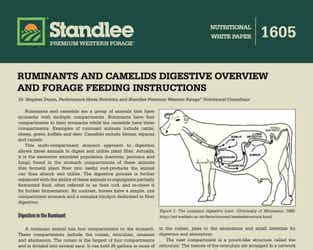 Preview of Ruminants & Camelids Digestive Overview, Feeding Instruction nutritional paper