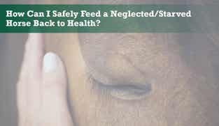 Preview of How Can I Safely Feed a Neglected/Starved Horse Back to Health nutritional webinar