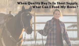 Preview of When Quality Hay Is In Short Supply, What Can I Feed My Horse nutritional webinar