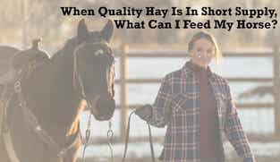 Preview of When Quality Hay Is In Short Supply, What Can I Feed My Horse nutritional webinar