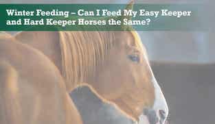 Preview of Winter Feeding – Can I Feed My Easy Keeper and Hard Keeper Horses the Same nutritional webinar