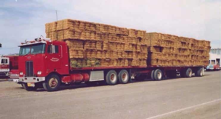 Standlee truck hauling hay