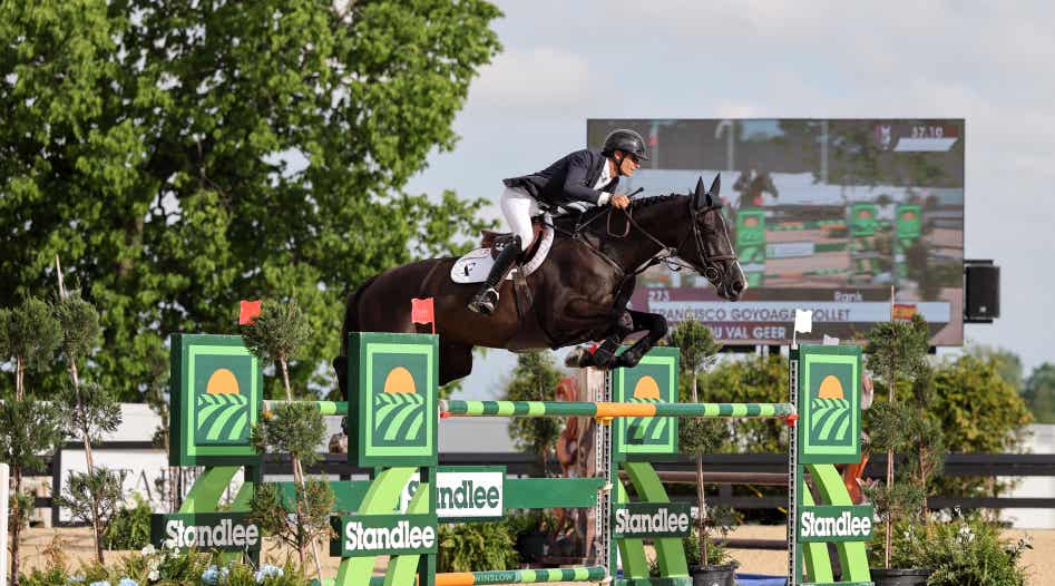 Performance horse jumping
