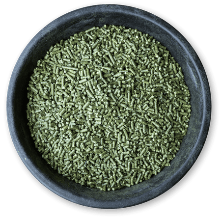 Large bolw of forage in pellet format.