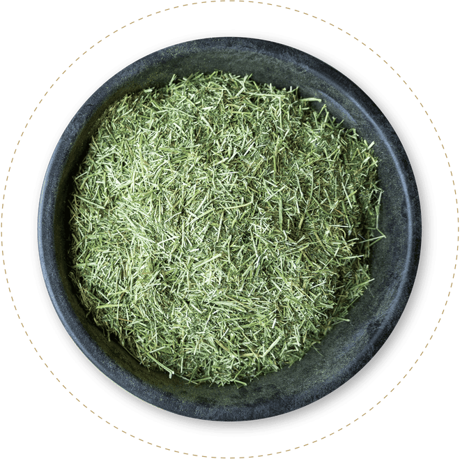 Forage bowl.