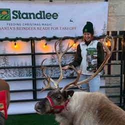 Reindeer Gallery Image Thumbnail #8