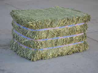 Standlee Half Cut Bale