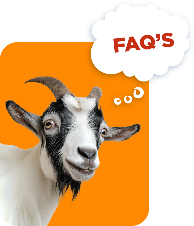 Happy goat tiling head.