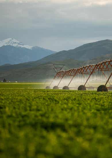 Sprinklers in field.