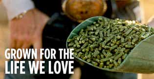 Life we love text over a scoop of Standlee forage.