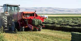 Forage harvest equipment baling hay in a field.