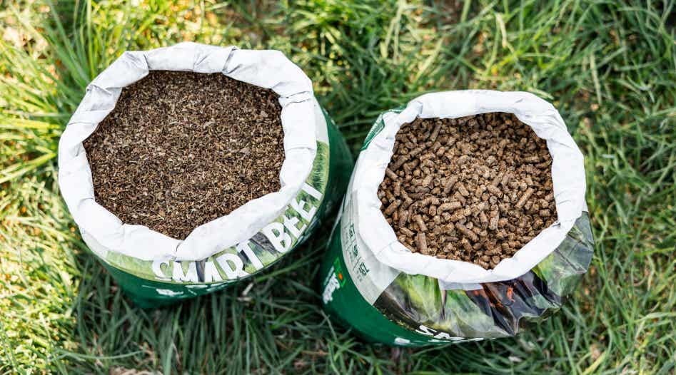 Bags of beet pulp shreds and pellets on grass.
