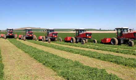 Five Combines in a Field