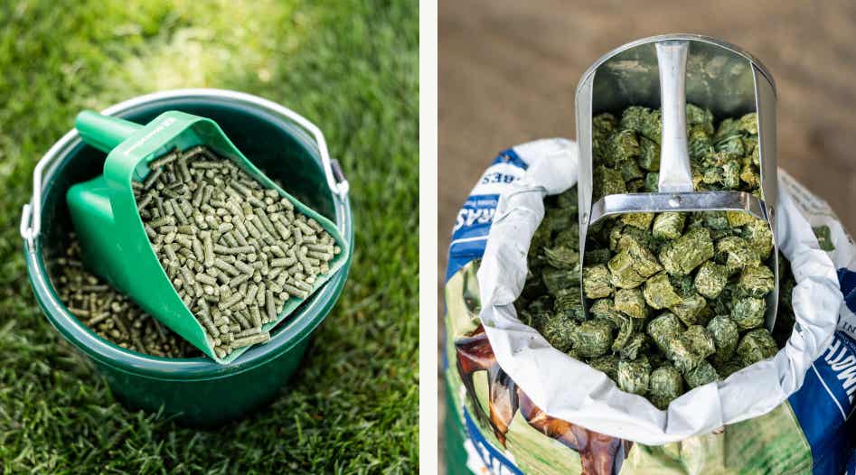 Grass forage pellets and cubes being scooped.