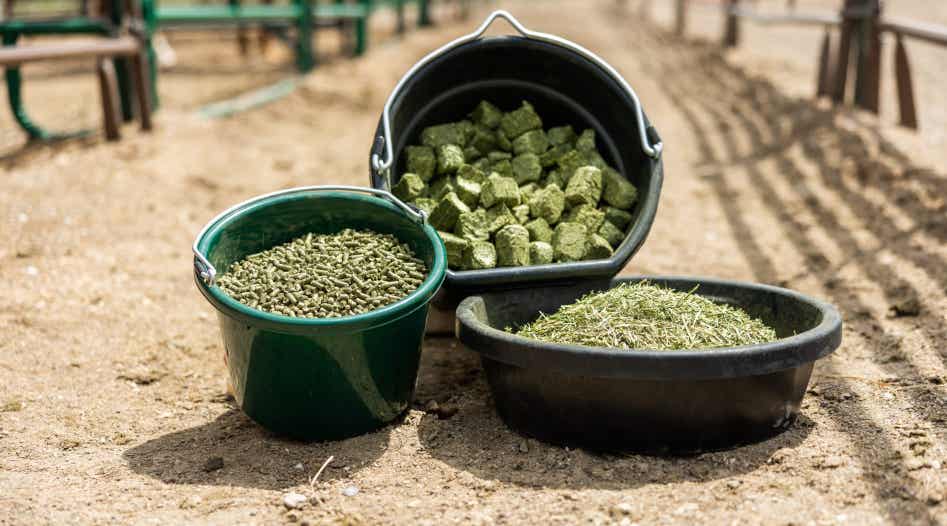 Buckets of mixed forage pellets, cubes, and chopped forage.