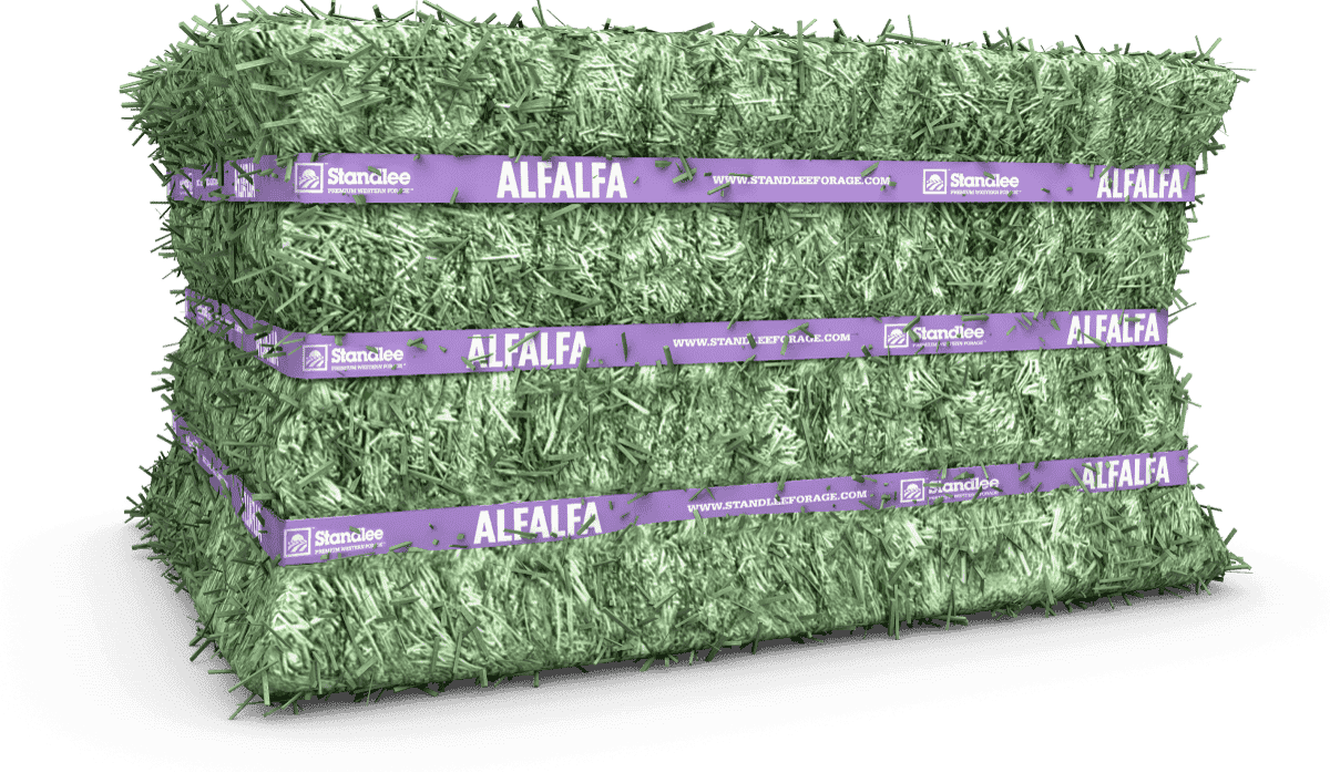 Compress Bale Premium Alfalfa Compressed Bale | Standlee Forage